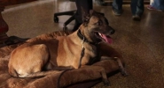 Person of Interest Tournage Saison 4 