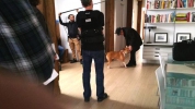 Person of Interest Tournage Saison 4 