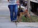 Person of Interest Tournage Saison 5 
