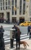 Person of Interest Tournage Saison 5 
