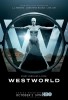 Person of Interest POI versus Westworld 