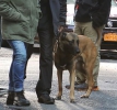Person of Interest Tournage Saison 3 
