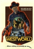 Person of Interest Westworld  