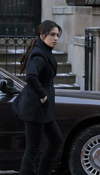 Sameen Shaw (Sarah Shahi)
