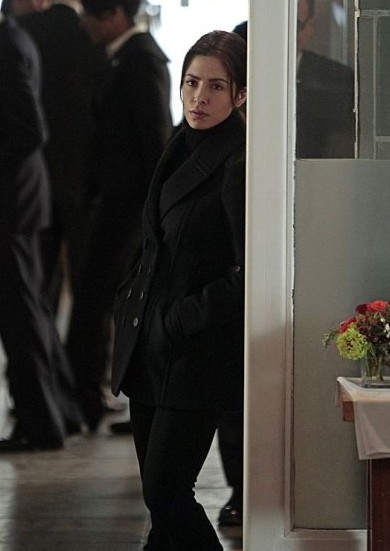 Sameen (Sarah Shahi) observe